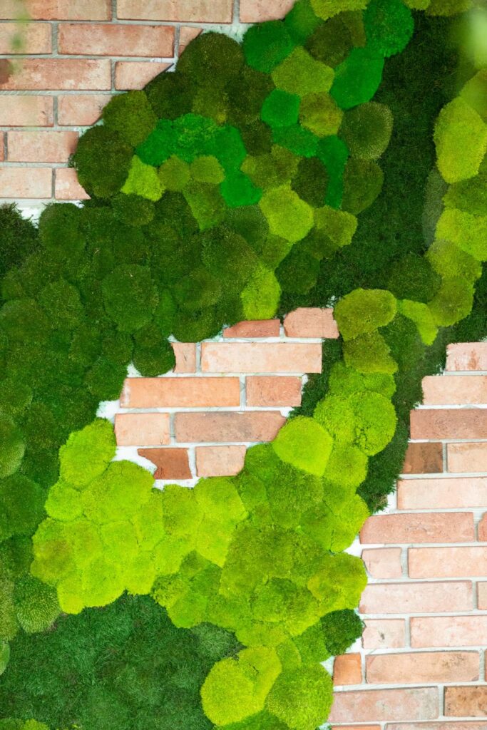 Innovative Begrünungslösungen, growingandgreen
